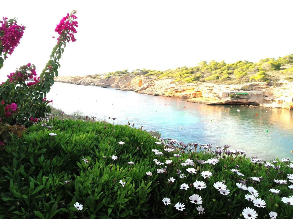 Ibiza Sunset&seafront House V3 Ferienhaus Cala Tarida (Ibiza)
